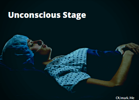 What is going on in the mind of a coma patient ?