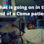 What is going on in the mind of a coma patient?